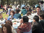 <b>新潟市でお花見イベント、間もなく150名ですヽ(○’ー’○)</b>